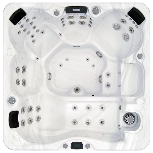 Avalon-X EC-867LX hot tubs for sale in Norwell